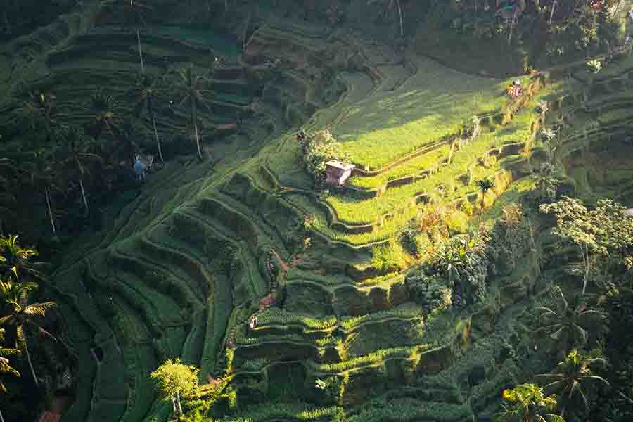 Ubud